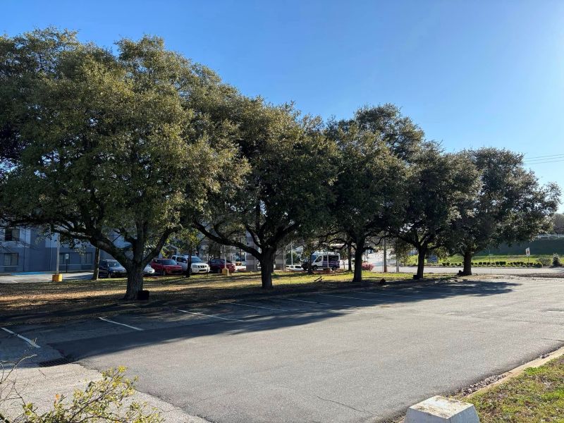 Tree Company in Greer, SC | DeVore’s Arbor Care