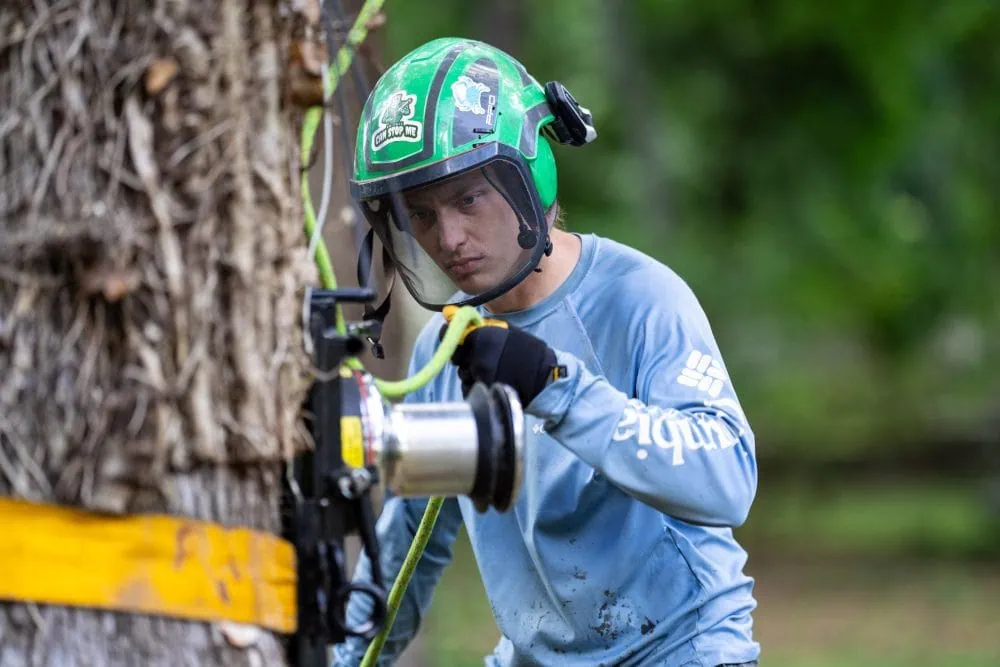 Tree pruning service in Greenville SC removing branches over roof