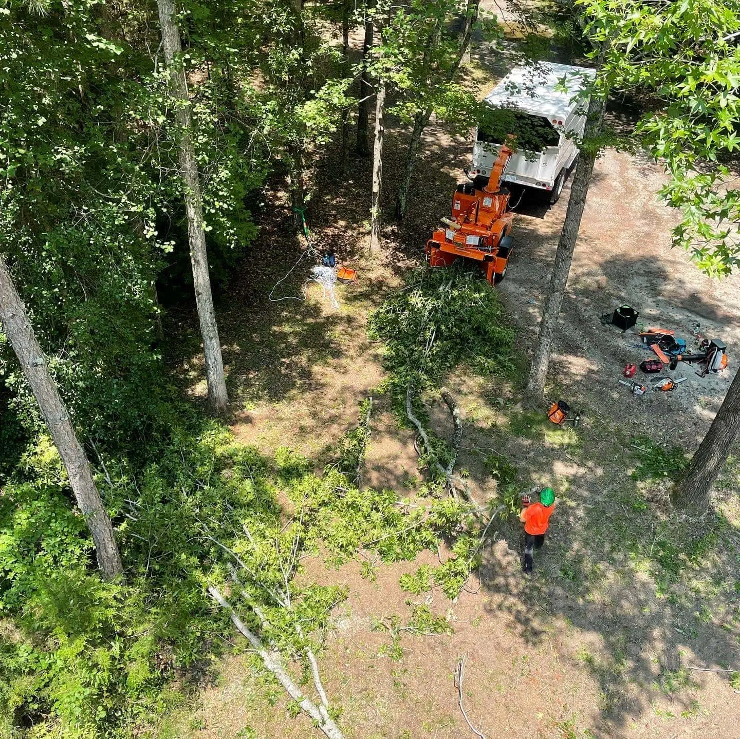 Top-rated Anderson Tree Service | DeVore’s Arbor Care