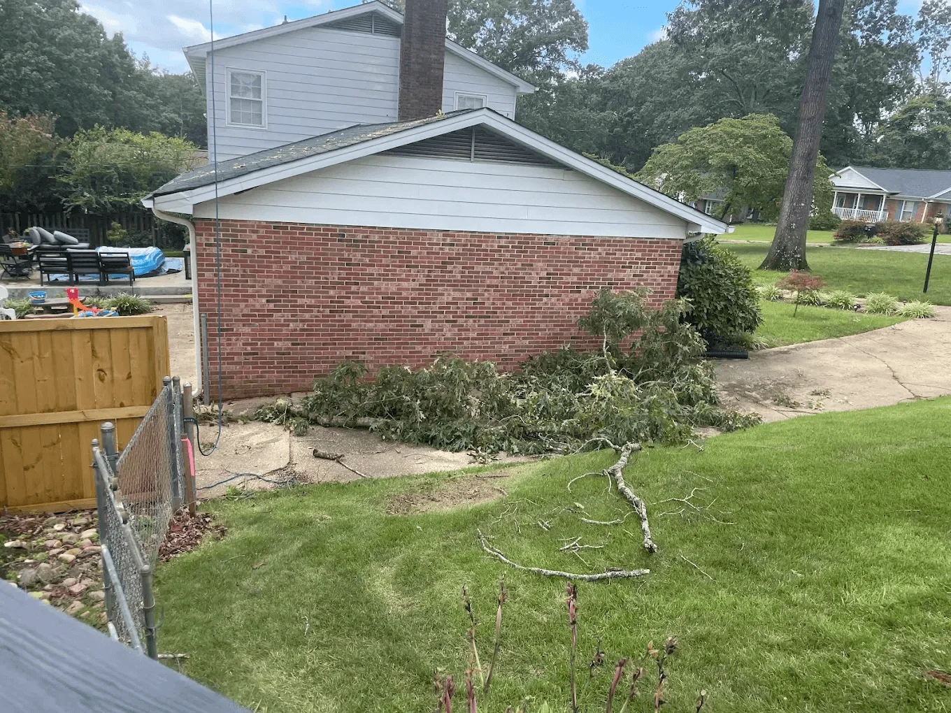 When Is the Best Time to Trim Trees in South Carolina?